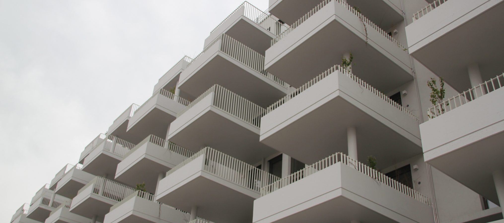 Image11